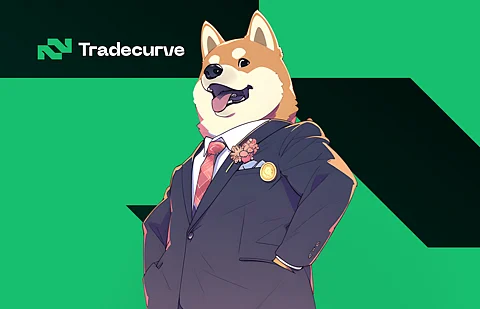 Why Shiba Inu Holders are Rushing to Tradecurve: A Comparative Study