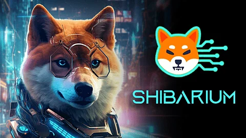 What is Shibarium? Deep Dive into Shiba Inu’s Layer 2 Scaling Solution and New Trending Crypto ApeMax