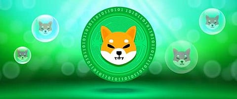 Summer’s Top 3 Altcoins Picks by Crypto Whales: Stellar (XLM), DigiToads (TOADS) and Shiba Inu (SHIB)