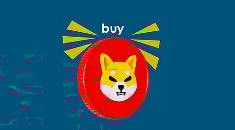 How to Buy Shiba Inu: A Detailed Guide?