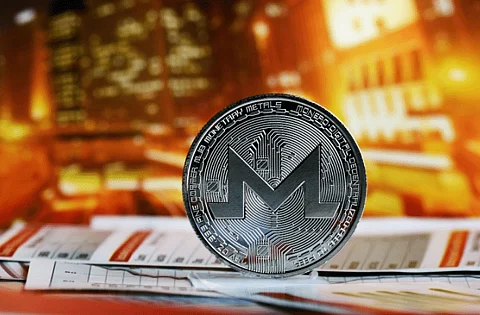 Stagnant Monero (XMR) Volume Opens Gateway to DigiToads (TOADS) Presale’s Mammoth 100x Potential