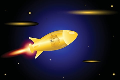 Analyst Suggests Dogecoin (DOGE) and DigiToads (TOADS) Prices Could Skyrocket 23,000% in 2023