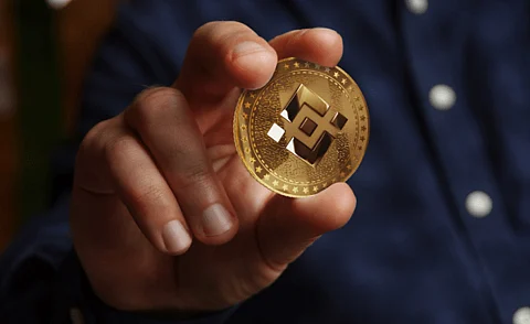 As BNB Chain’s Mainnet Upgrade Buzz Fuels Surge, DigiToads (TOADS) Presale Wins Big with Institutional Backing