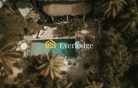 Best Altcoins to Consider for Diversification: THORChain, Shiba Inu and Everlodge