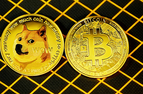Bitcoin Spark: The Next Big Thing After Shiba Inu’s Unexpected Rise?