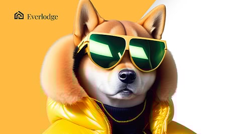 While Shiba Inu and Dogecoin Struggle to Provide Massive Gains, Everlodge Can Spike by 4,000%