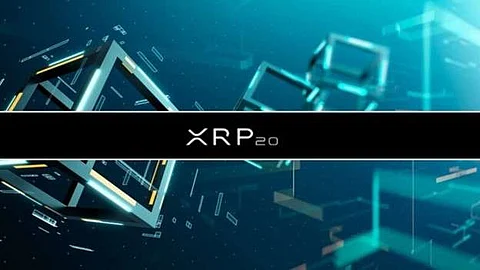 Crypto Experts With Over 500K Followers Predict XRP Price Crash To $0.45, While XRP20 Presale Hits $1 Million