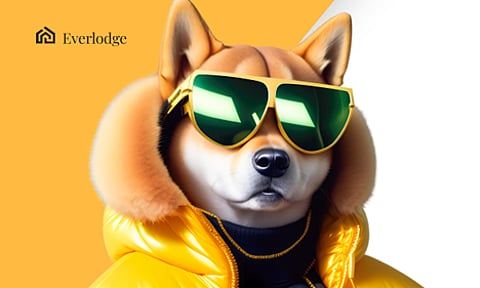 Dogecoin, Shiba Inu Price Prediction: Holders Moving to Everlodge for Massive Gains