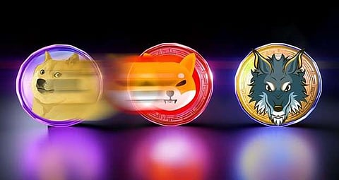 Can Shiba Inu (SHIB) Flip Dogecoin (DOGE) This Year? Expert’s Opinion!
