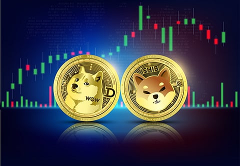 $SHIB and $DOGE Battle for Market Liquidity, $DOMI Is the Best Utility to Grow Wealth