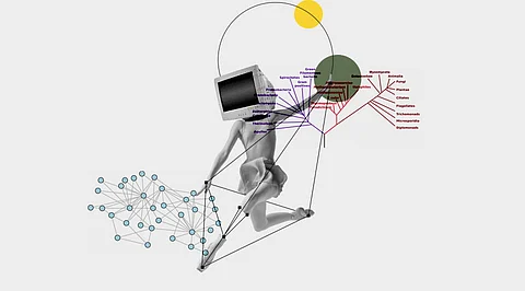 Geometric Deep Learning: Explained