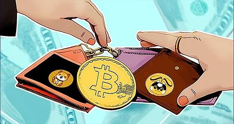 What’s Next for Bitcoin (BTC), Baby Doge Coin, and Pikamoon in 2023?