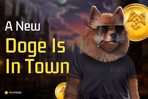 Tokens Projected To Surge in September by ChatGPT – Shiba Inu (SHIB), XRP (XRP), Pomerdoge (POMD)