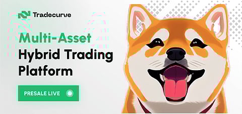 BNB Activity Rises, Shiba Inu Faces Resistance, Tradecurve Markets Emerges as a Blue-Chip Project