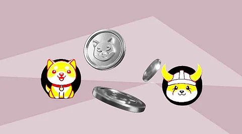 5 Meme Coins That Could Skyrocket in 2024