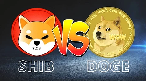 Is Shiba Inu the Next 1000x Dogecoin? Analysis of the Two Doge Themed Meme Coins and New Presale Meme Coin ApeMax