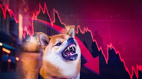 Shiba Inu (SHIB) and Dogecoin (DOGE) Prices Preparing For Altcoins Season – Who Will Lead Race?