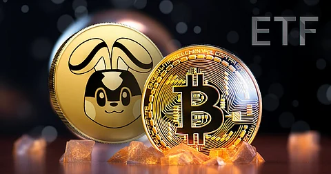Rumours Amidst SPOT Bitcoin ETF Brings Hope to the Crypto Market; Analysts Tips Pikamoon to Soar 100x