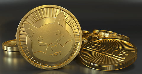Can This New Meme Coin Match Shiba Inu’s All Time Growth of 764,000%