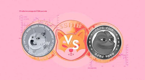 Shiba Inu vs Pepe Coin: Which Memecoin Is Right for You?