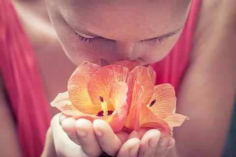 The Therapeutic Power of Floral Aromatherapy