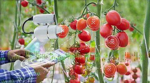 10 AI-Powered Agriculture Projects to Impress Employers