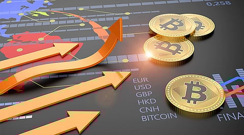 Explore Profitable Crypto Startup Ventures in 2024
