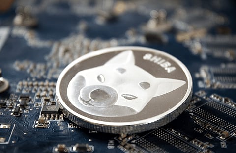 Introducing the 20x Meme Coin on Pace To Beat Shiba Inu’s Gains