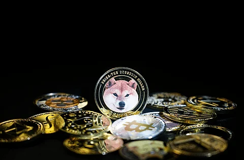 Cryptocurrencies Ready to Climb into the Top 10 Market Cap Within 3-5 Years