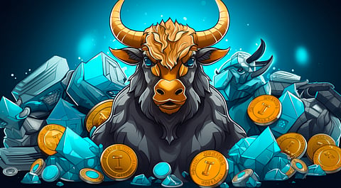 Popular Altcoins for the Crypto Bull Run | Your Guide to Top Alt Coins and New Tokens