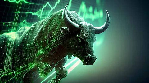 Snowfall or Bull Run? Unveiling the Winter Crypto Gems