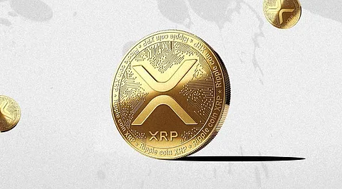 Will XRP Reach $1 in Upcoming Bull Run?