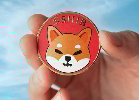 Will Shiba Inu Clock a 10x Surge by Christmas 2023? BorroeFinance Growth Could Exceed SHIB