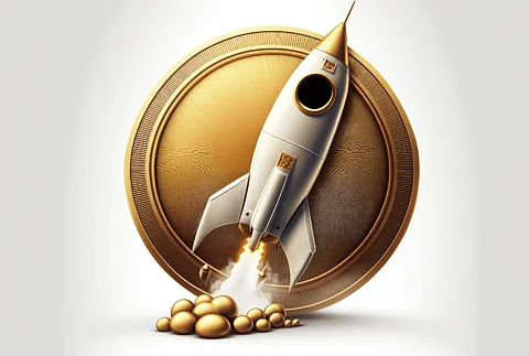 Galaxy Fox Presale heading to Half a Million. How Are FLOKI and BONK Stack Up?