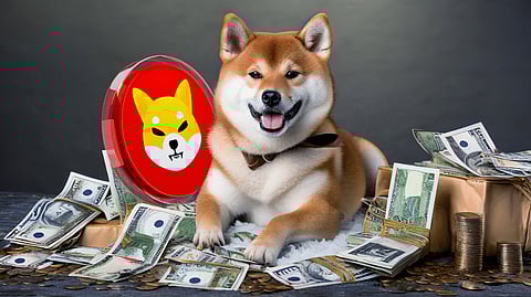 This Shiba Inu (SHIB) millionaire that holds $25M worth reveals what he is buying next!