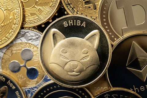 Considering HODLING Shiba Inu? Experts Recommend These 3 Alternatives, Instead