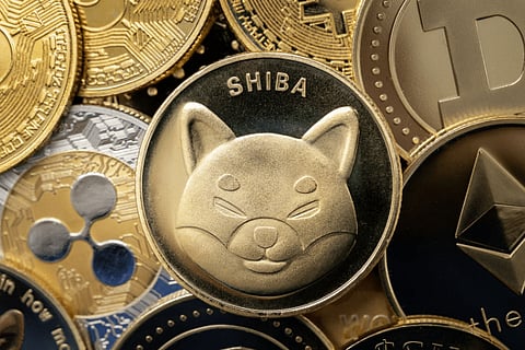 Will Shiba Inu Ride the Crypto Bull Run and Reach $1 in 2024?