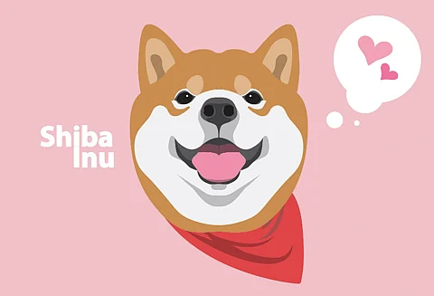 Shiba Inu’s Shibarium Reaches 90 Million Transactions Milestone; Decentraland & Borroe Finance Brace for Bullish Momentum