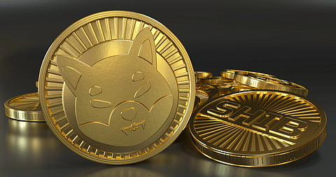 Shiba Inu’s Burn Rate Soars 28,000%; InQubeta Primed for a Strong Upswing