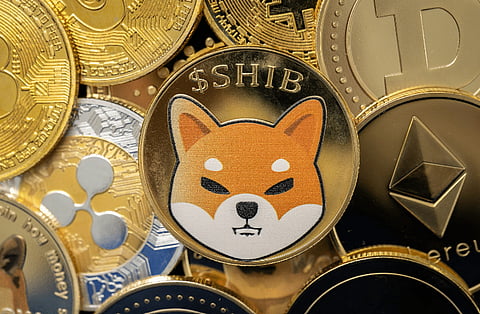 Everlodge (ELDG) Seen as One of the Top Altcoins While Shiba Inu (SHIB) Army Battles To Bring LEASH to CoinRabbit