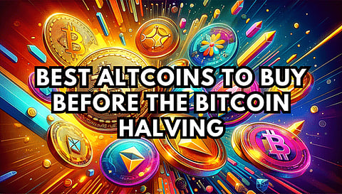 Will We See A Strong Bitcoin (BTC) Surge Before the Halving? The Best Altcoins to Scoop Up Before the Halving
