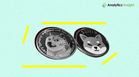 Dogecoin & SHIB: Can They Beat Solana in Price Performance?