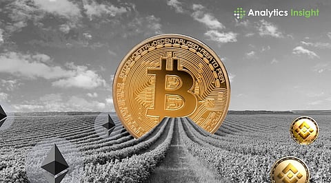 How to Create and Manage a Yield Farming Portfolio