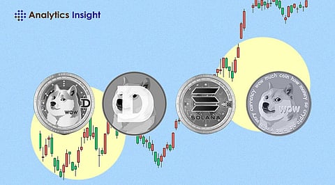 How to Trade Memecoins: A Guide for Beginners
