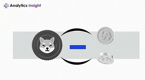How to Convert Shiba Inu to USD?