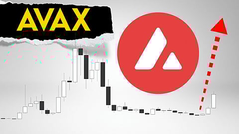 Chat GPT picks Pushd (PUSHD) to be the Best Investment of 2024 over Solana (SOL) and Avalanche (AVAX)