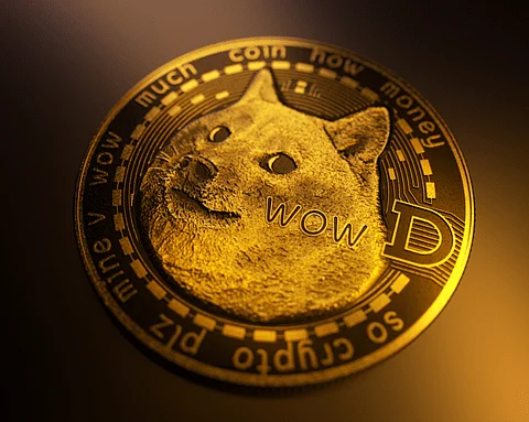Pushd (PUSHD) Surges Through Market Ranks: Why did Dogecoin (DOGE) and ApeCoin (APE) Rally?