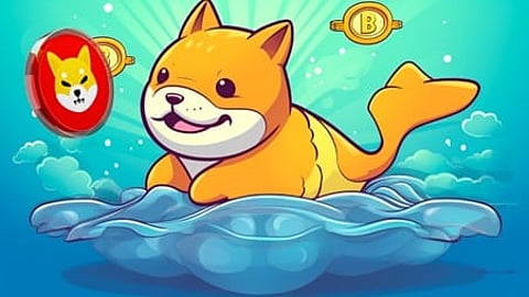 Shiba Inu (SHIB) Whale Gives Up on the Stagnant Meme Coin, Converts his Holdings to this SHIB Alternative