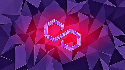 Pushd (PUSHD) going to be the Best Crypto Investment in 2024 over Polygon (MATIC) and Shiba Inu (SHIB)
