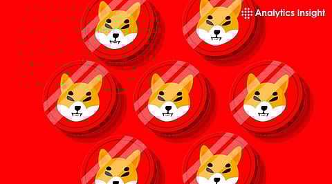 SHIB Price Drops Below $0.0000093